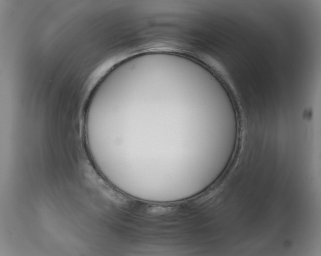 X0000113141419200909040947