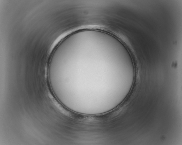 X0000113141420200909040947