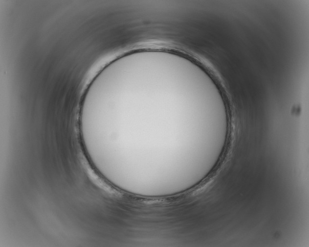 X0000113141421200909040947
