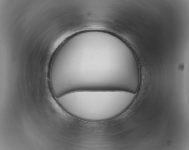 X0000113141422200909040947