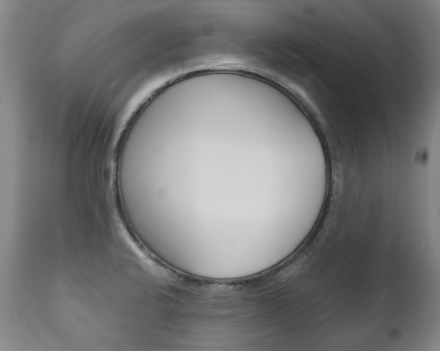 X0000113141424200909040947