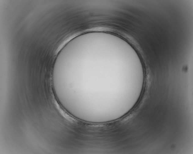 X0000113141425200909040947