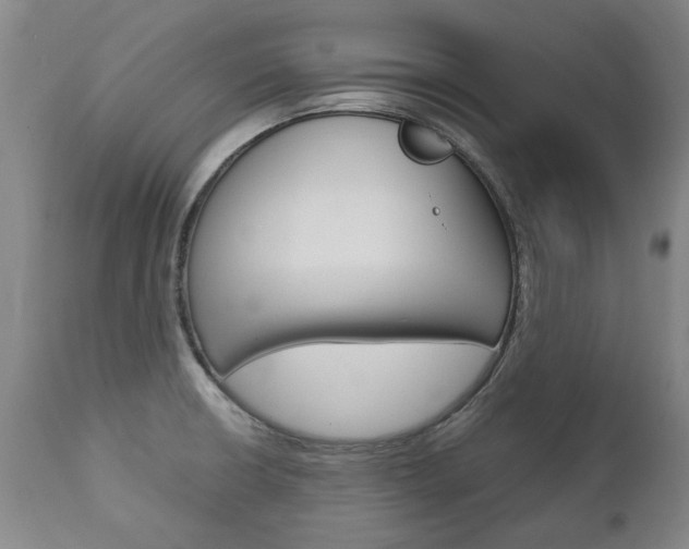 X0000113141426200909040947