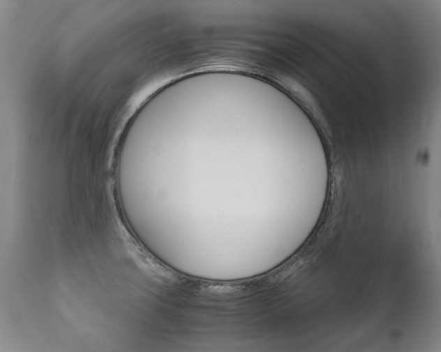 X0000113141427200909040947