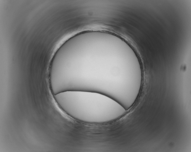 X0000113141429200909040947