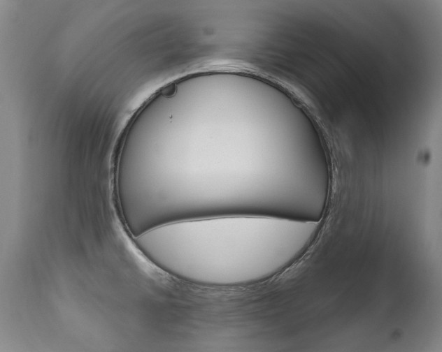 X0000113141430200909040947