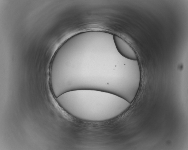 X0000113141431200909040947