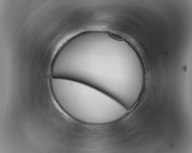 X0000113141432200909040947