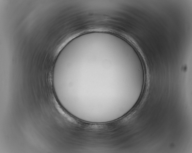 X0000113141433200909040947