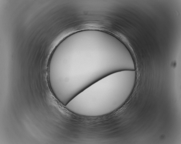 X0000113141435200909040947