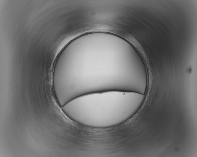 X0000113141436200909040947