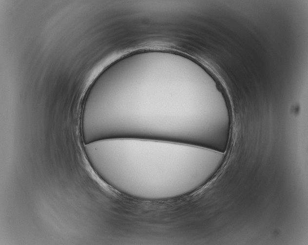 X0000113141437200909040947