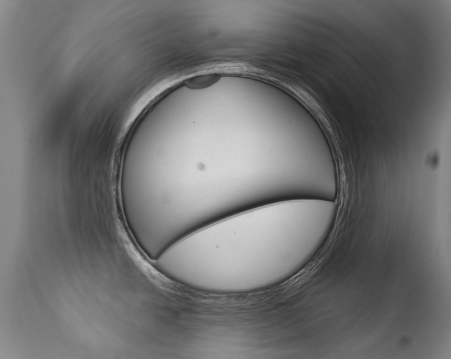 X0000113141438200909040947