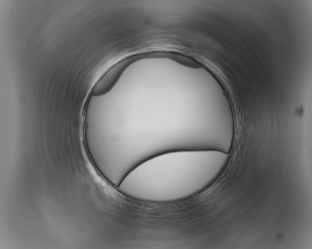 X0000113141439200909040947
