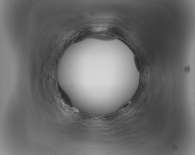 X0000113141441200909040946