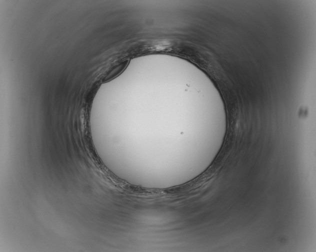 X0000113141442200909040946