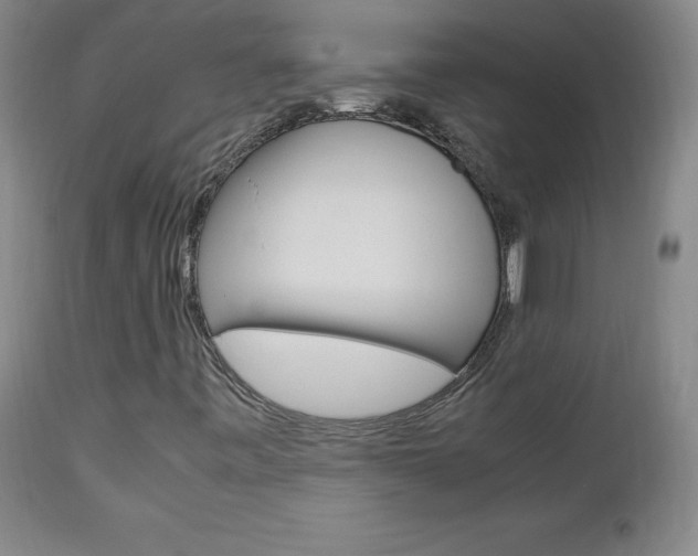 X0000113141443200909040946
