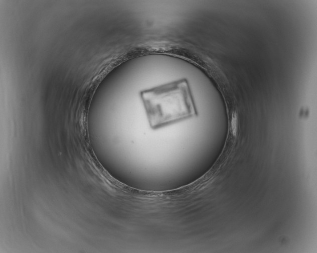 X0000113141444200909040946