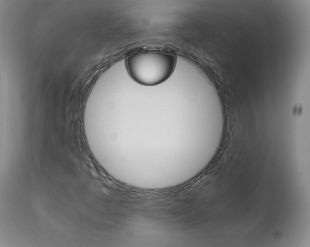 X0000113141445200909040946