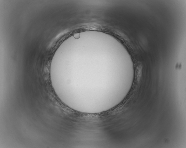 X0000113141446200909040946