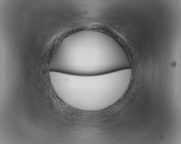 X0000113141447200909040946