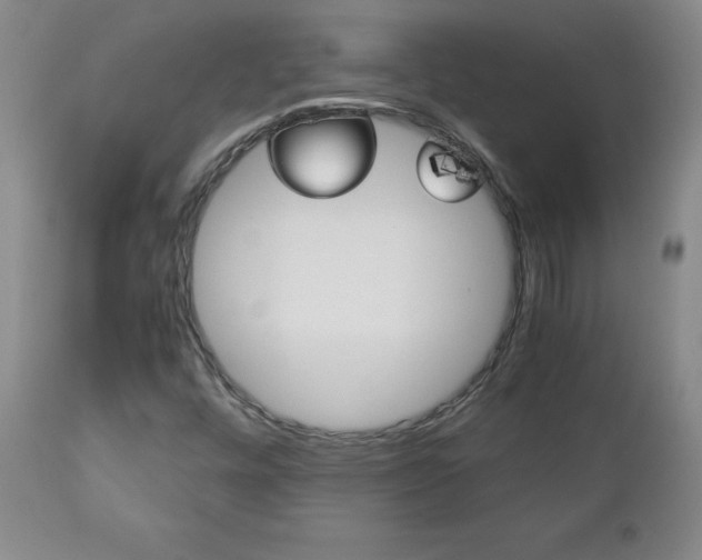 X0000113141448200909040946