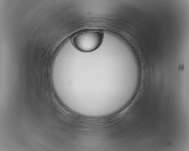 X0000113141449200909040946