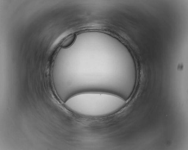 X0000113141450200909040946