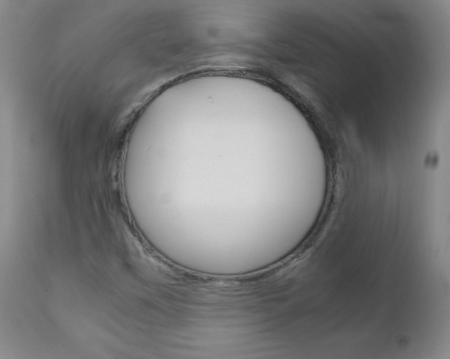 X0000113141451200909040946