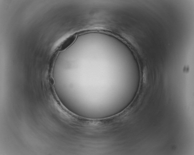 X0000113141452200909040946