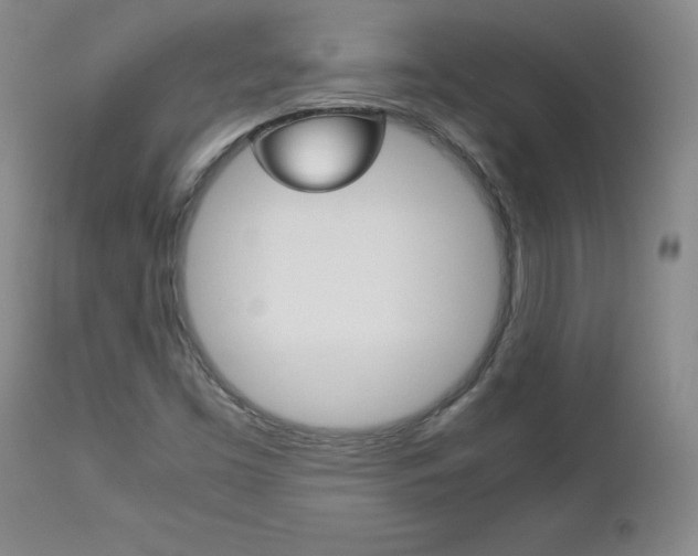 X0000113141453200909040946