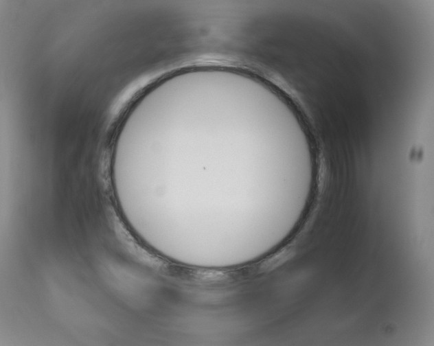 X0000113141454200909040946