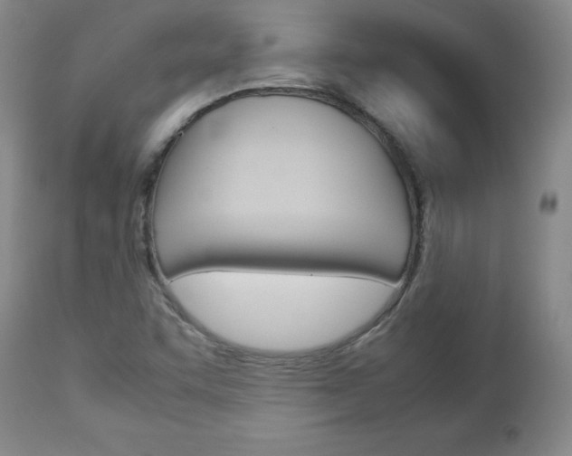 X0000113141455200909040946