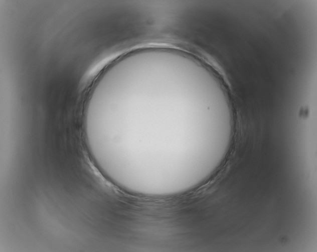 X0000113141456200909040946