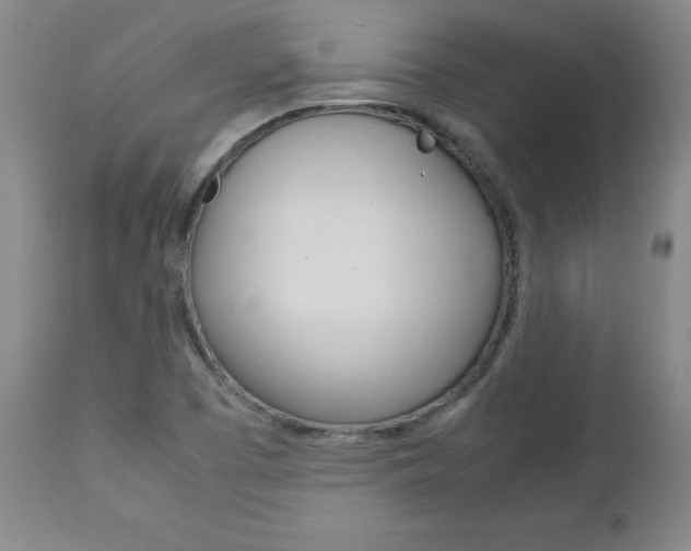 X0000113141457200909040946