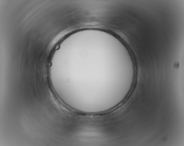 X0000113141458200909040946