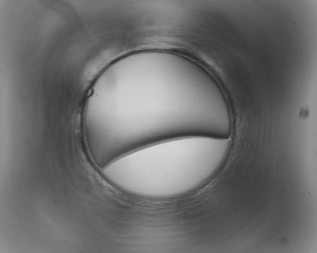X0000113141459200909040946
