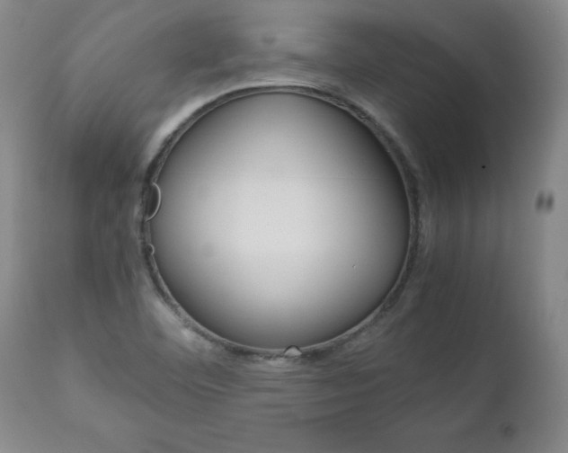 X0000113141460200909040946