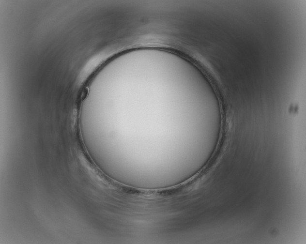X0000113141461200909040946