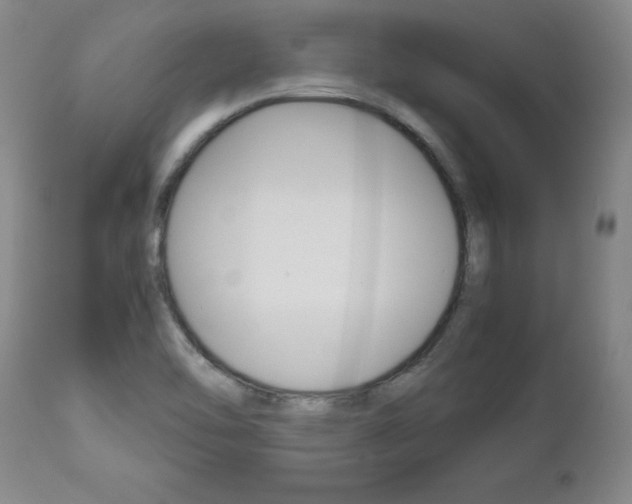 X0000113141462200909040946