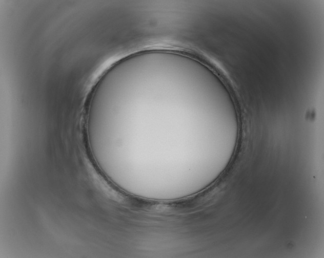 X0000113141463200909040946