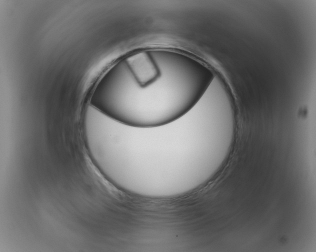 X0000113141464200909040946