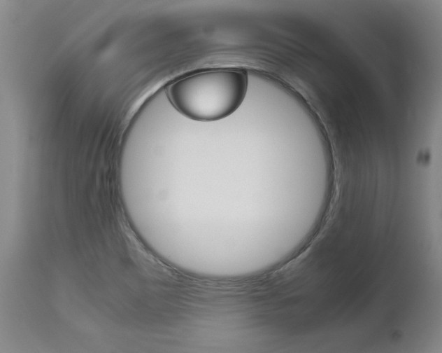 X0000113141465200909040946
