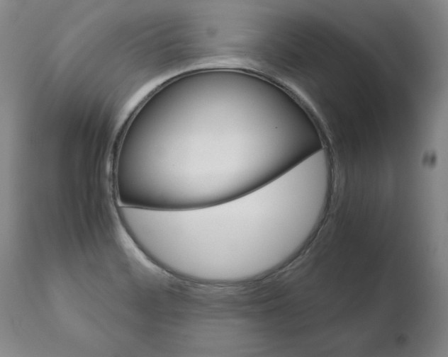 X0000113141468200909040946