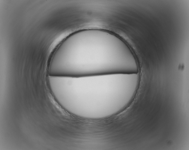 X0000113141469200909040946