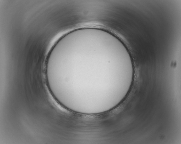 X0000113141470200909040946