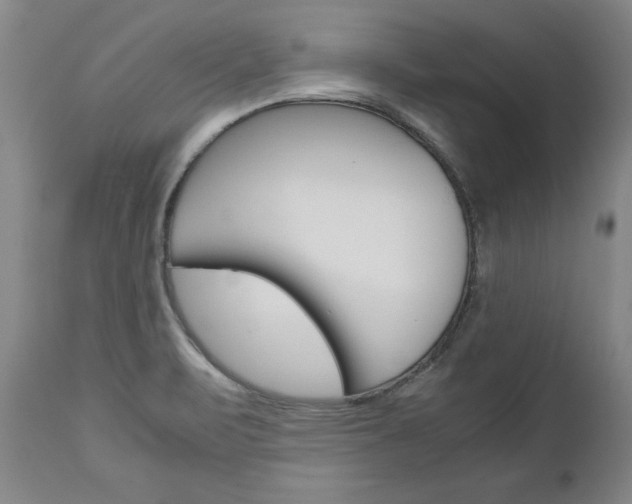 X0000113141471200909040946