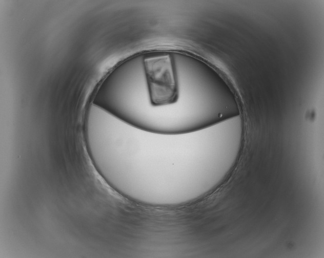 X0000113141472200909040946
