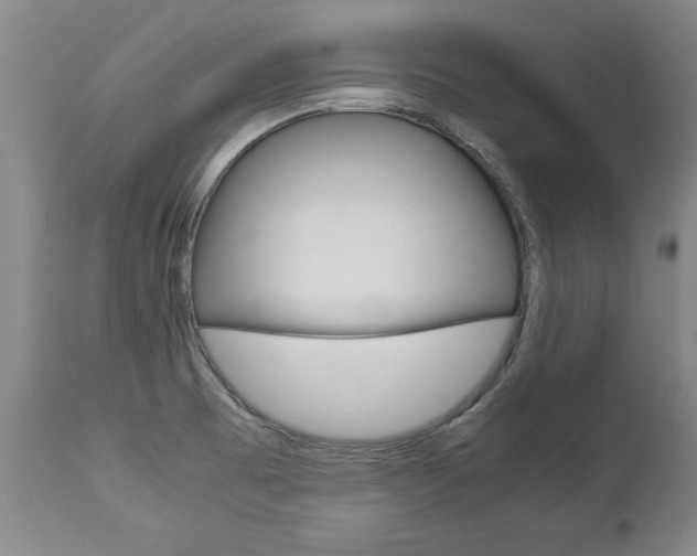 X0000113141473200909040946