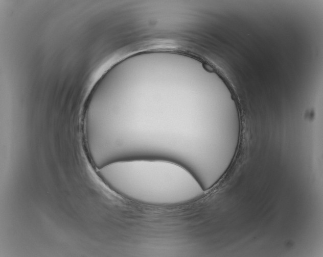 X0000113141475200909040946